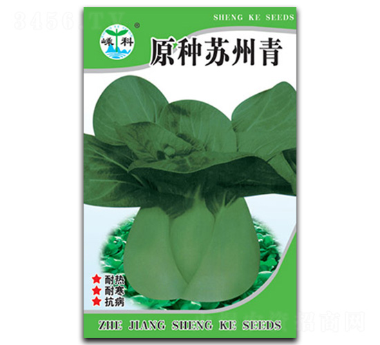 原種蘇州青-青菜種子-嵊科種業(yè)