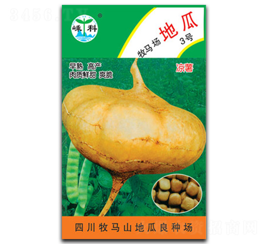 良種地瓜-地瓜種子-嵊科種業(yè)