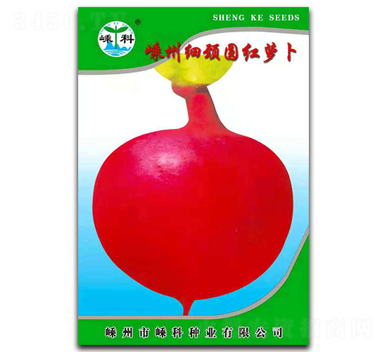 嵊州細頸圓紅蘿卜-蘿卜種子-嵊科種業