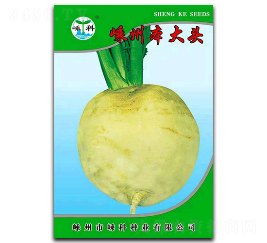 ���ݱ����^-��˷N��-�ӿƷN�I