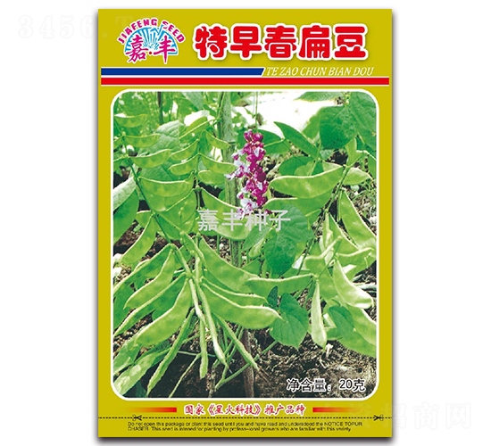 ���紺�ⶹ-�ⶹ�N��-���S�N��