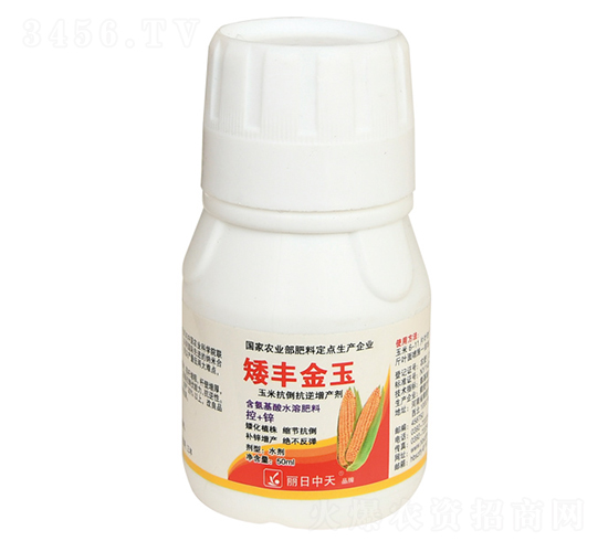 ���׿����������a��-���S����-����ʘI