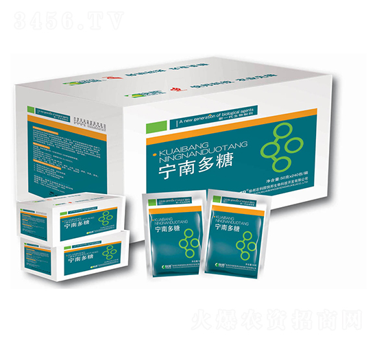 ��һ�������Ƅ�-���϶���-�������