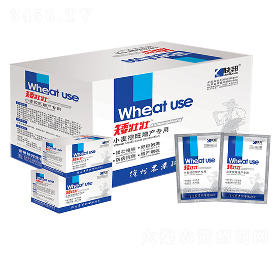 С���������a���ð��щ�-�������