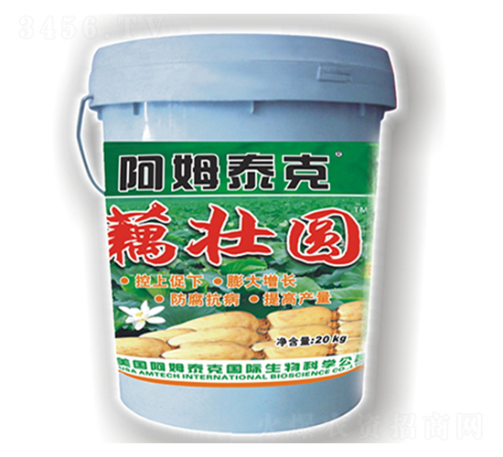 藕壯圓-阿姆泰克-迦姆農業