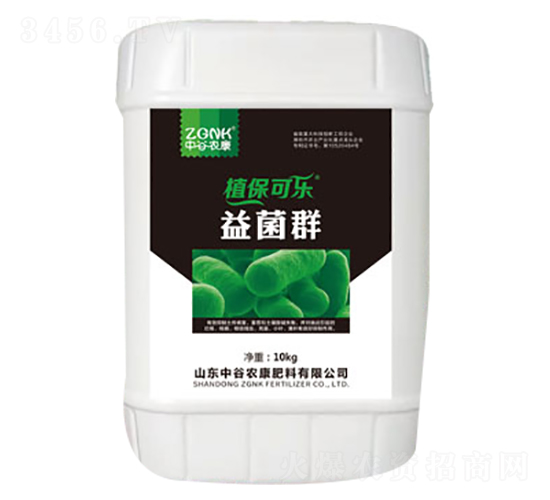 ���Ⱥ-ֲ���ɘ�-�й��r��