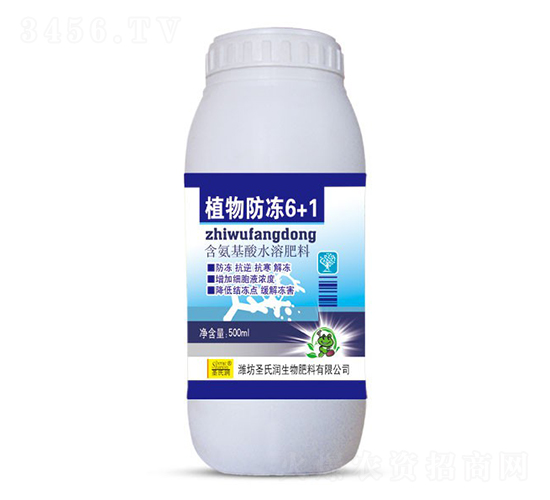 ֲ�����6+1-ʥ�ϝ�