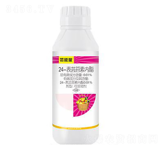 24-���|̦�؃���-�|����-��ِ��