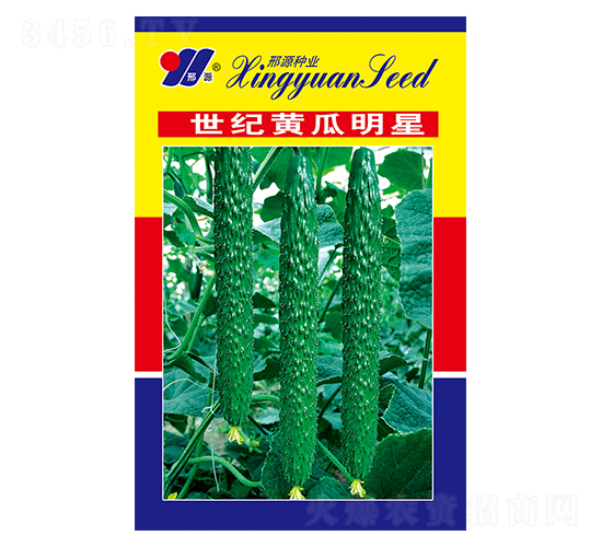 世紀黃瓜明星-黃瓜種子-邢源農業