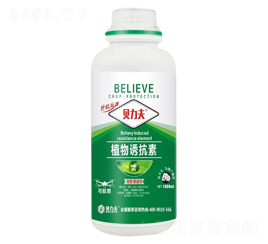 ֲ���T����-ؐ����-� ��S