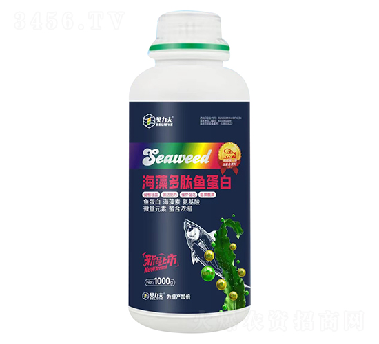 1000g��������~����-ؐ����-� ��S