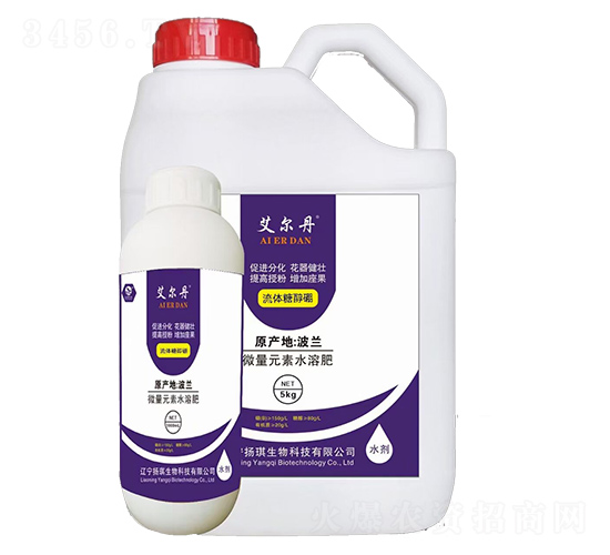 ���w�Ǵ���-������-�P������