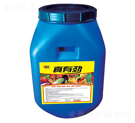 ���Є�-���S����