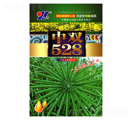 ���p528-�Ͳ˷N��-��Դ�r�I