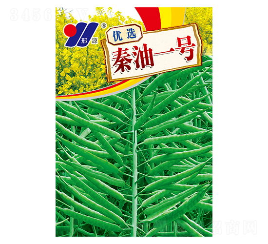 ���x����һ̖-�Ͳ˷N��-��Դ�r�I