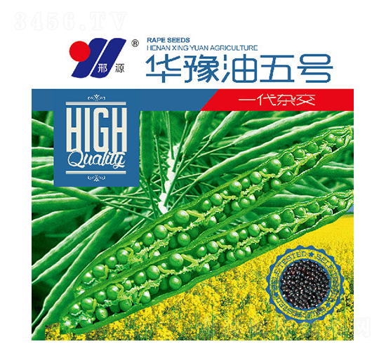 �Aԥ����̖-�Ͳ˷N��-��Դ�r�I