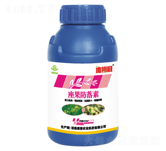 ����������-ʩ����-ʢ���r�I