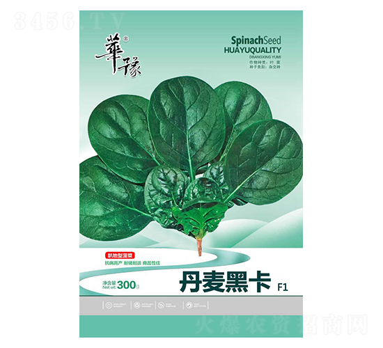 �����ڿ�-���˷N��-��Դ�r�I