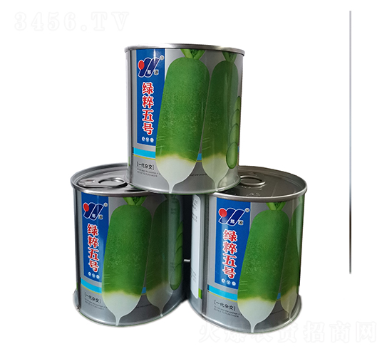 綠粹五號（罐）-青蘿卜種子-邢源農業