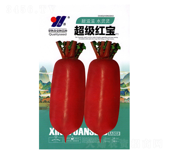 �����t��-���}���N��-��Դ�r�I