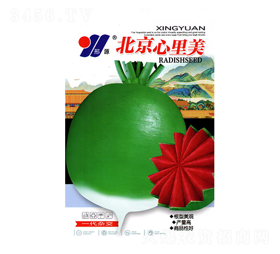 北京心里美-青蘿卜種子-邢源農業