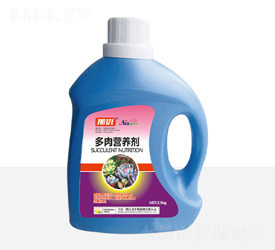 ����I�B��-һ������