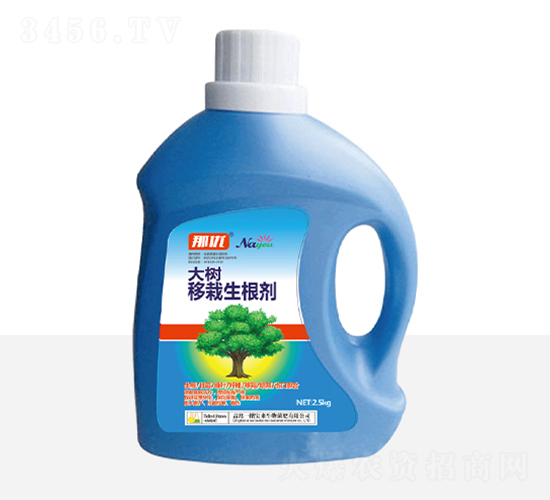 �������������-һ������