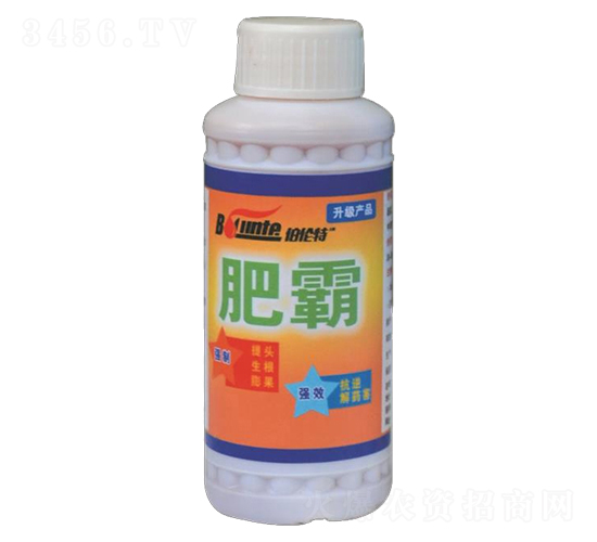 �ʰ�-������