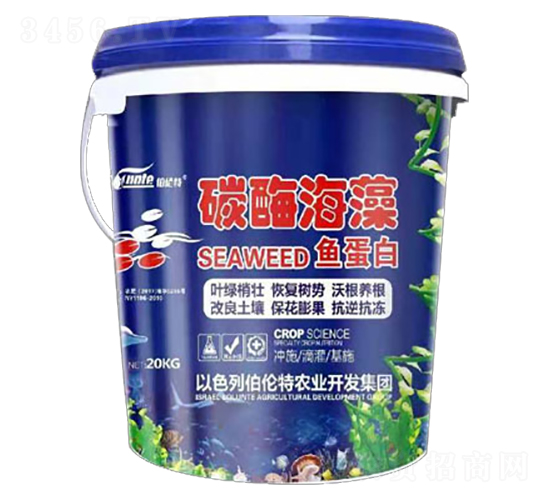 ̼ø�����~����-������