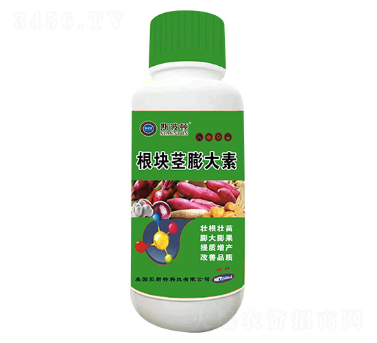 ���K�o�����-˹���D-�|�|�r�I