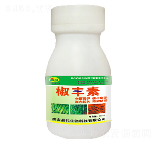 ���S��-�ɰ�����