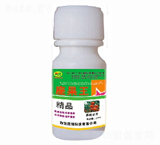 ���ь���-������-�ɰ�����