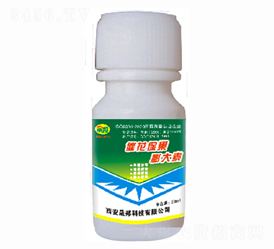 �߻����������-�ɰ�����