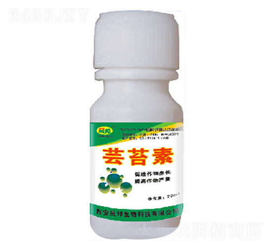 �|̦��-�ɰ�����