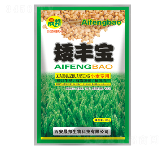 ���S��С������-�ɰ�����