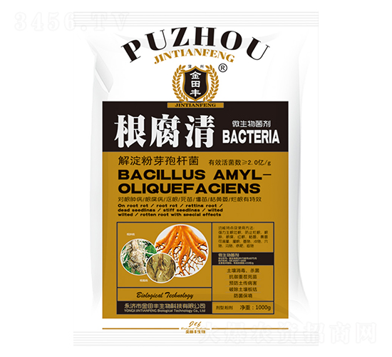 ������-�����S