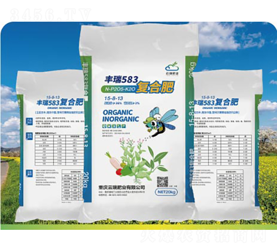 �ͺϷ���15-8-13-�S��583-����ʘI