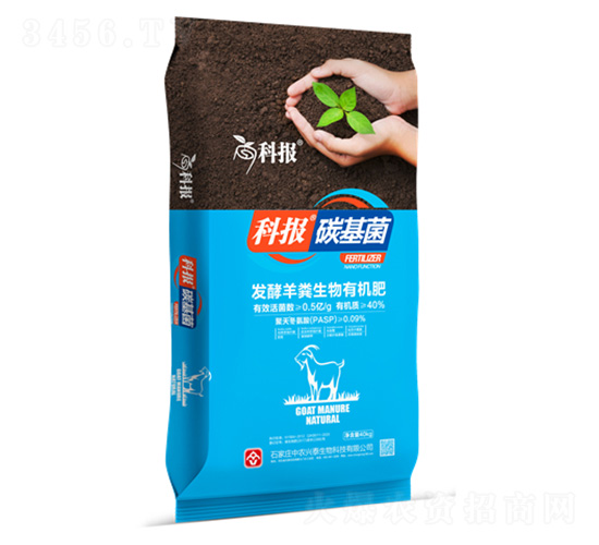 �l����S�����ЙC��-�ƈ�̼����-���r�d̩