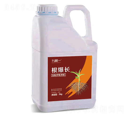 �����L-�ż�һ