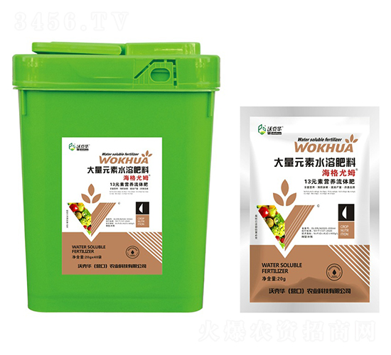 ������ķ13Ԫ�ؠI�B���w��-�ֿ��A