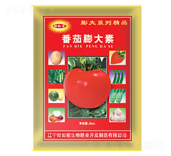 ���������(����-������