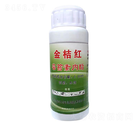 �|̦�؃�֬-��ۼt���B