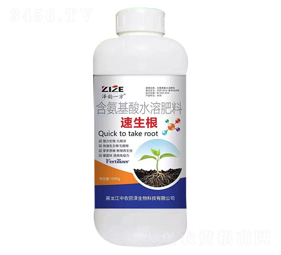 速生根-澤韻一方-中農恒大