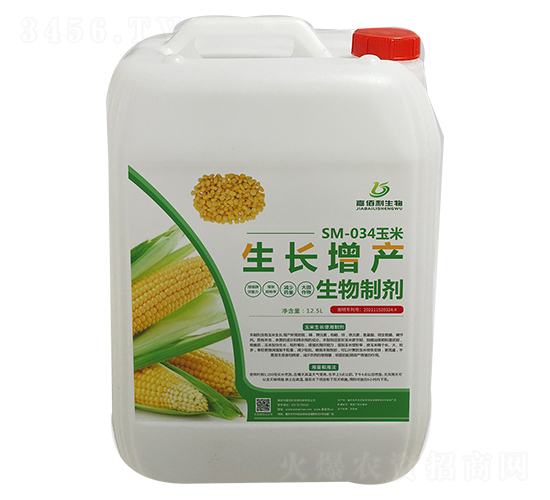 SM-034�������L���a�����Ƅ�-�ΰ�������