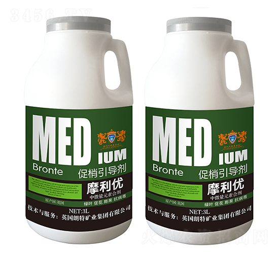 ����������-Ӣ����