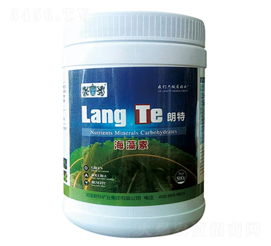 ������-Ӣ����