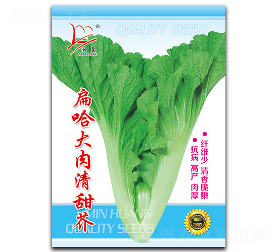 ����������-��˷N��-�}�ʷN�I