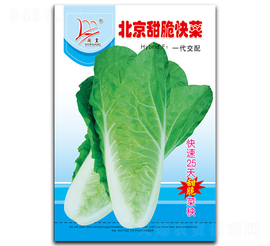 ���������-��˷N��-�}�ʷN�I