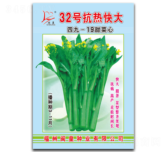 32號(hào)抗熱快大-菜心種子-閩皇種業(yè)