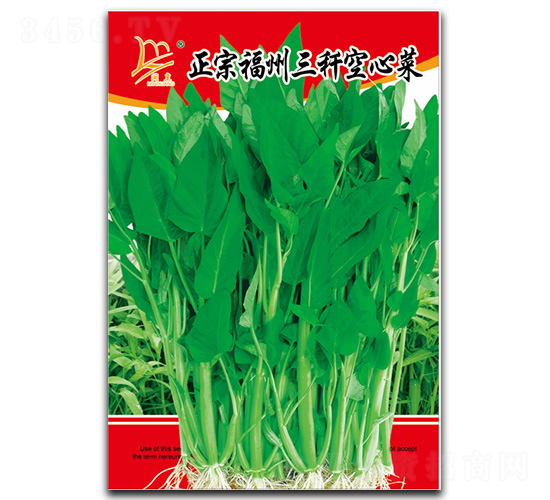 ���ڸ����������Ĳ�-���Ĳ˷N��-�}�ʷN�I